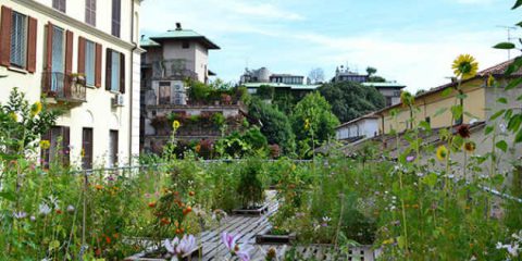 Green City Milano, la natura entra in città dal 13 al 15 maggio 2016