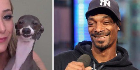 Indovina qual è. Un aiutino? Uno dei due è il famoso rapper Snoop Dogg…