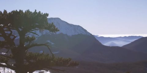 Il Parco del Pollino, terra di Loricati