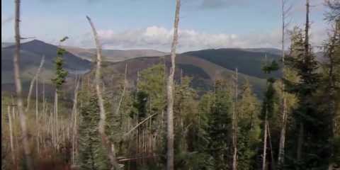 Video droni. La Tweed Valley (Scozia) vista dal drone