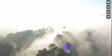 Video droni. Campagna inglese: la nebbia vista dal drone