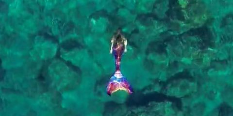 Video droni. Quando il drone incontra una sirena…ecco cosa succede