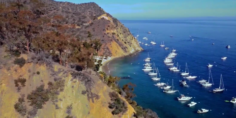 Video droni. Avalon e l’Isola di Catalina (California) viste dal drone