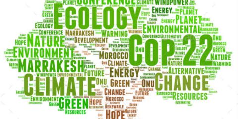 COP22, online il concorso ‘100 progetti per il clima’