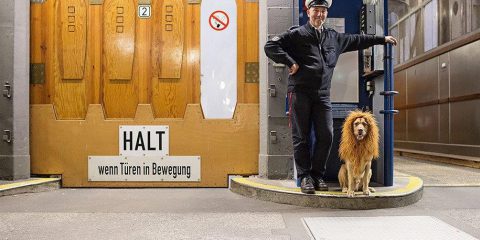 Appuntamento al Charlie Point (Berlino): Le avventure di un cane che volle farsi leone per affrontare la città…