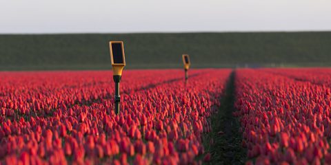 IoT: l’agricoltura smart chiave per soddisfare i bisogni alimentari del Pianeta