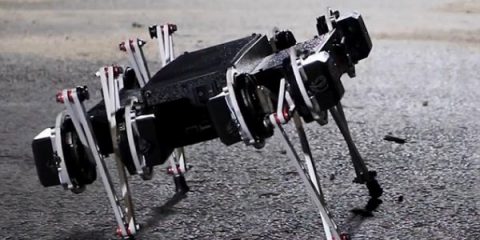 Il cane-robot che apre le porte e salta gli ostacoli (video)