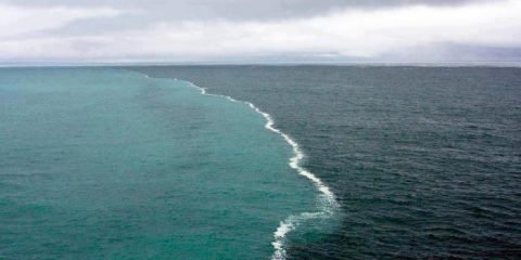 Meglio non confondere le acque: ecco il punto del Golfo d’Alaska dove i due oceani si incontrano, ma non si mescolano