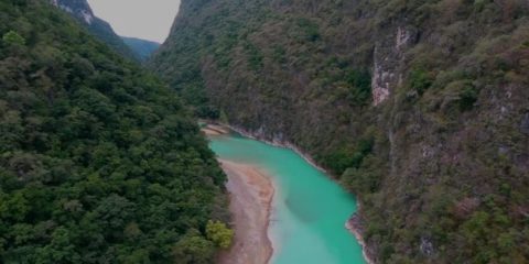 Video droni. Le acque turchesi del fiume Tampaòn (Messico), visto dal drone