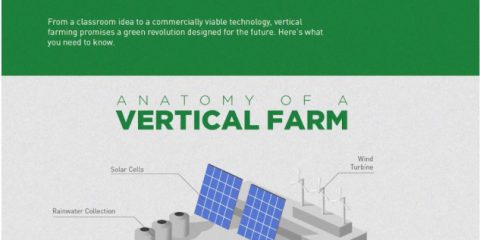 L’ascesa delle aziende agricole verticali