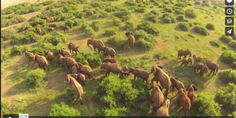 Videodroni. Tra monti e coste, laghi e safari: il Kenya visto dal drone