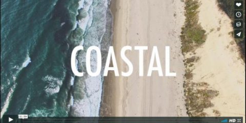 Videodroni. Le spiagge di San Gregorio Beach e Thornton Beach (California) viste dal drone