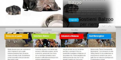 Balzoo.it