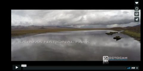 Videodroni. Il Parco Nazionale Sajama (Cile) visto dal drone