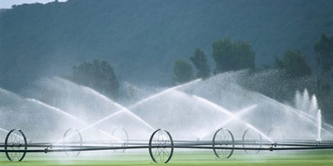 Siccità, l’acqua on demand contro gli sprechi. Prime misure per l’agricoltura 4.0