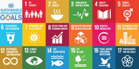 Sviluppo sostenibile, il Piano della scuola italiana per l’Agenda 2030 dell’Onu