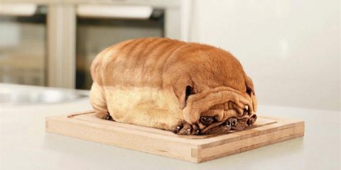 Effetti ottici: Un toast veramente bestiale