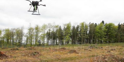 Ambiente, seminare con i droni? Fino a 1 miliardo di nuovi alberi l’anno (Video)