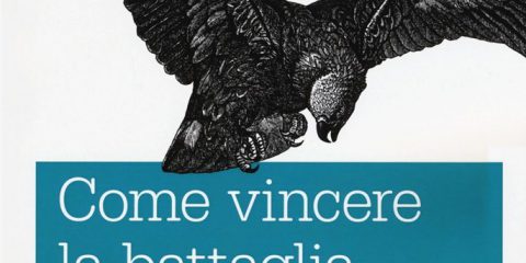 Come vincere la battaglia del SEO