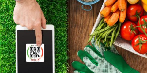 Green economy, nasce il modello italiano per l’agroalimentare digitale