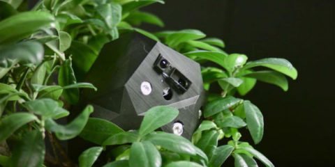 Flora robotica, un intreccio di piante e mattoni IoT per le case del futuro (video)