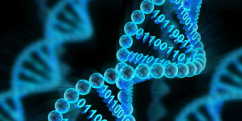 Big data, archivieremo dati direttamente nel nostro Dna