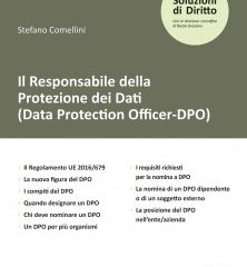 Il Responsabile della Protezione dei Dati (Data Protection Officer-DPO)