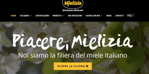 Mielizia.it