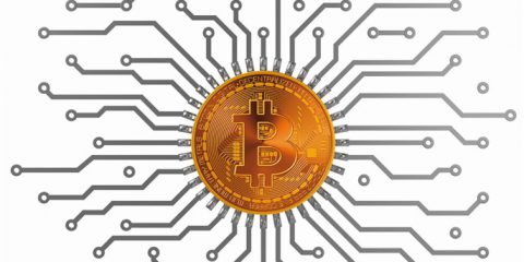 Criptovalute: manuale di sopravvivenza