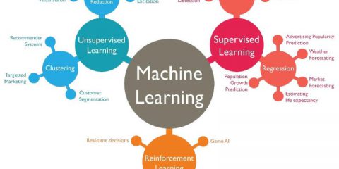 Quali sono i diversi tipi di machine learning?