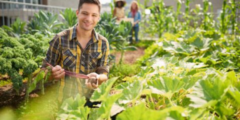 Finanza Agevolata. Contributo a fondo perduto per l’insediamento di giovani agricoltori nelle Marche