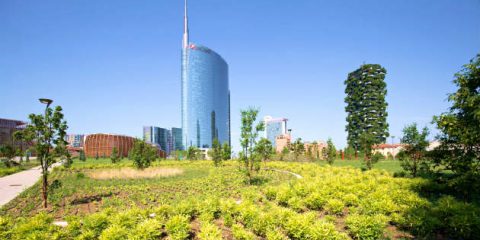 Milano pianterà 3 milioni di nuovi alberi in dieci anni e via il 20% di CO2 entro il 2020