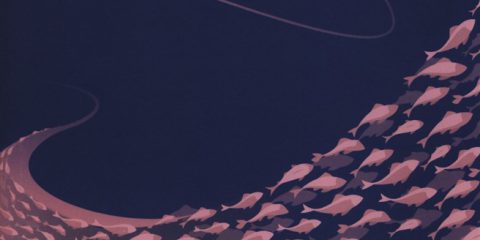 Blockchain. Guida all’ecosistema