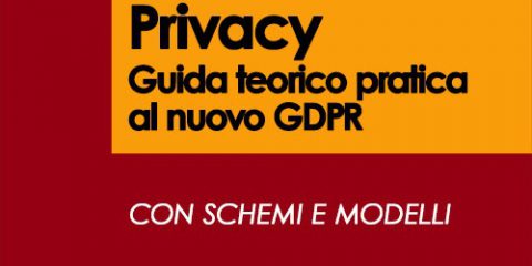 Privacy. Guida teorico pratica al nuovo GDPR
