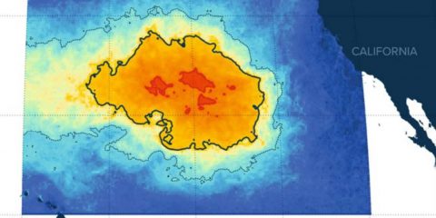 Oceano Pacifico, l’isola di plastica è enorme: “Grande tre volte la Francia”