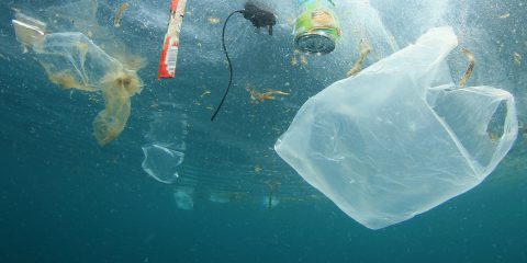 Plastica monouso, l’Ue conferma il divieto entro il 2021