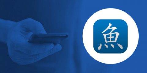 App4Italy. La recensione del giorno, Pleco Chinese Dictionary