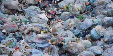 Plastica biodegradabile, un falso mito: buste intatte dopo 3 anni in mare o sottoterra