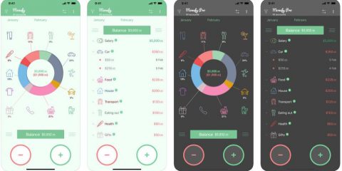 App4Italy. La recensione del giorno, Monefy – Money manager