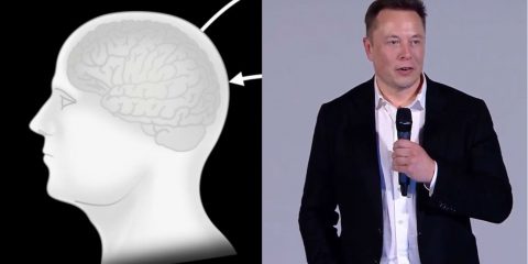 ‘Far controllare Pc e arti artificiali con la mente a persone paraplegiche’. La nuova sfida di Elon Musk