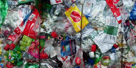 Web, sugar & plastic tax, il Governo conta di incassare 2 miliardi di euro nel 2020