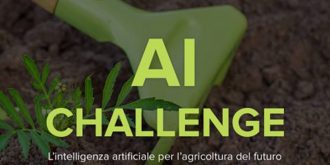 IA e agricoltura, al via la Challenge di Vetrya, Microsoft e Urbani Tartufi