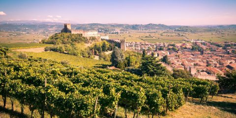 Sviluppo delle aziende agricole e delle imprese nelle zone rurali. Il bando della Regione Basilicata