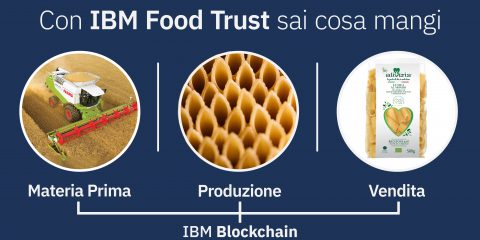 Blockchain, accordo IBM e Gruppo Grigi per la certificazione della pasta Aliveris