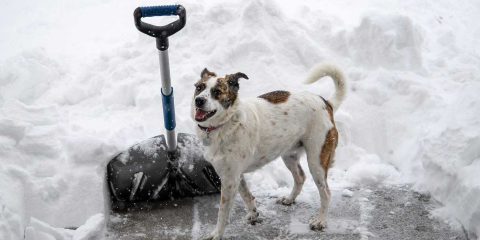 Domani neve sulle regioni adriatiche e al Sud, bel tempo al Nord ma più freddo (video)