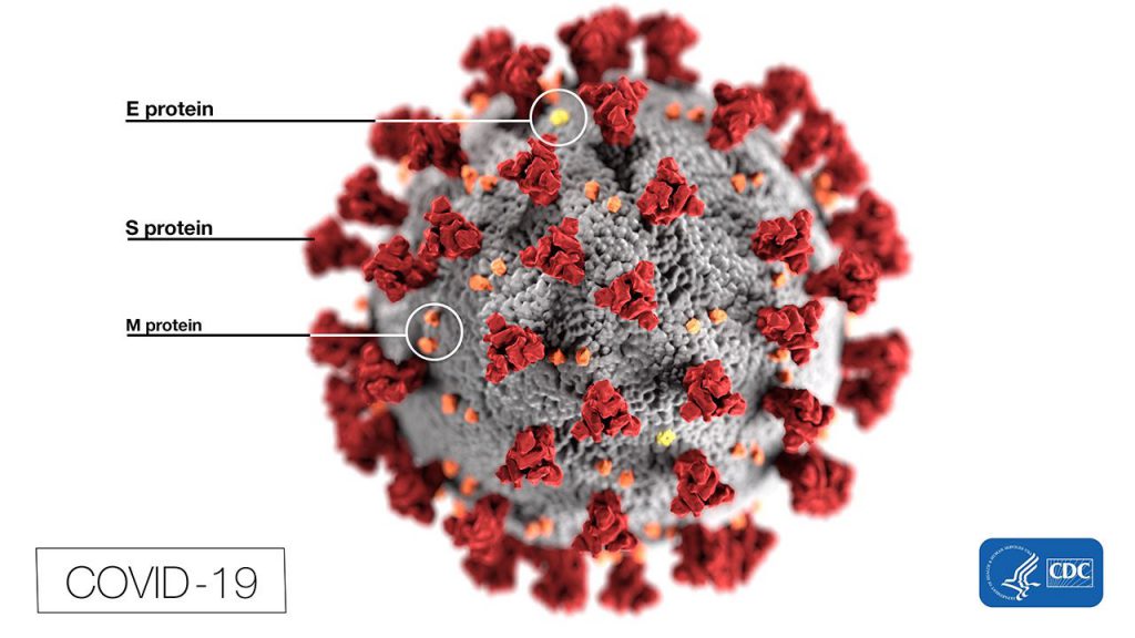 FoldIt - Coronavirus