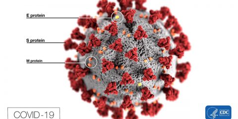 Un videogioco per combattere il coronavirus