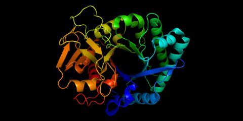 L’intelligenza artificiale studia le proteine associate al Coronavirus