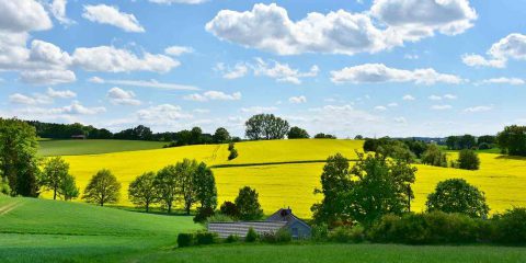 Anticiclone sull’Italia, continua l’anticipo di primavera (Video)