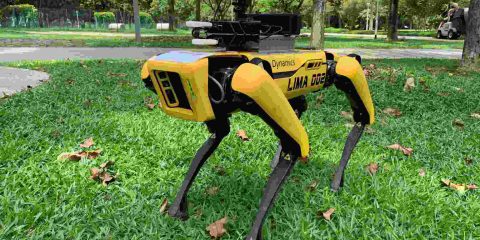 Distanziamento sociale, nei parchi di Singapore ci pensano i robot